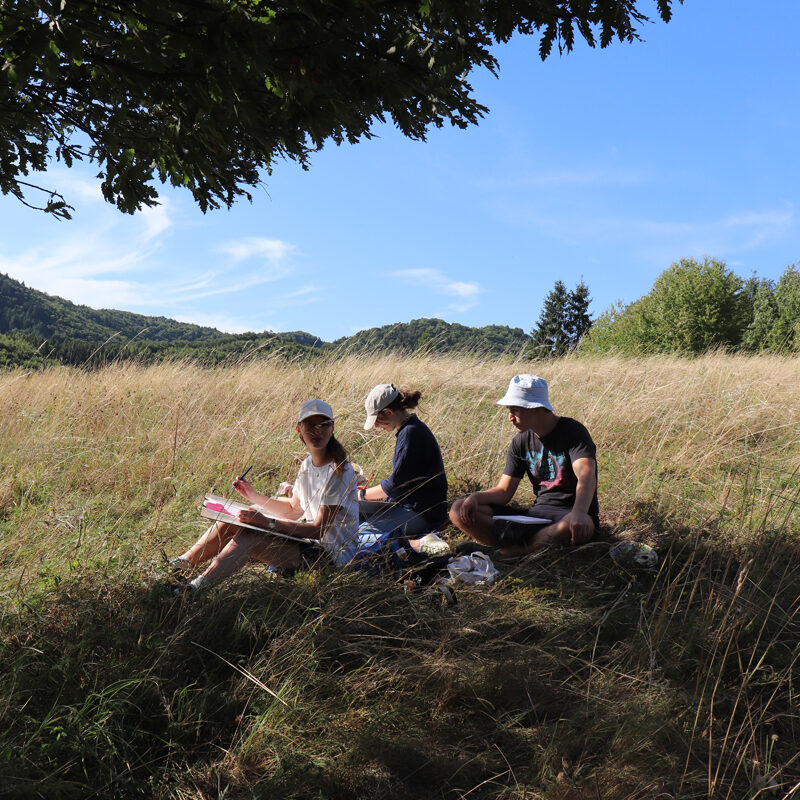 Slávime 20 rokov umenia s mladými